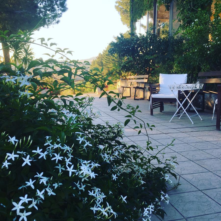 Ciuci'S Manor Villa Aragona Kültér fotó