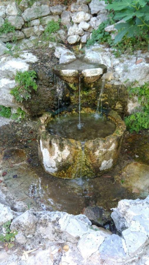 Ciuci'S Manor Villa Aragona Kültér fotó